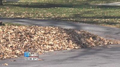 Next round of leaf collection to begin