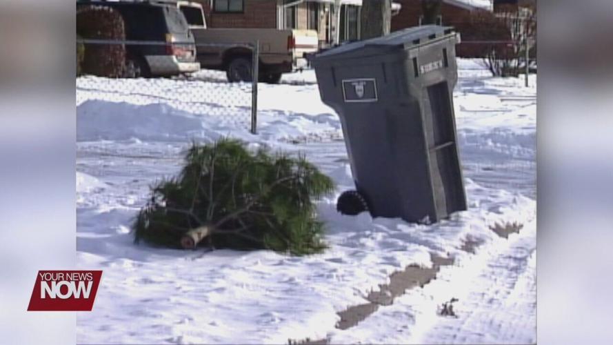 Rumpke to pick up Christmas trees for recycling News