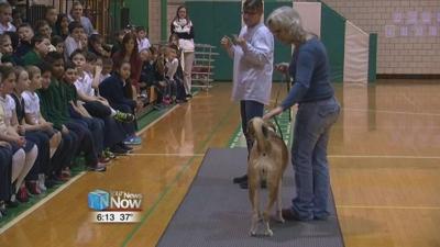St. Gerard Students donate to animals