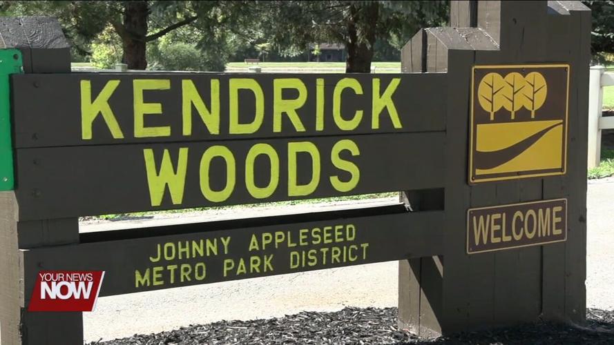 Wetlands project is about 75% complete at Kendrick Woods