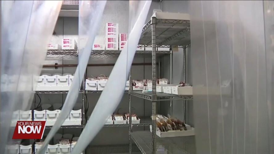 U.S. sees nationwide blood shortage as donations plummet more than 25% in July