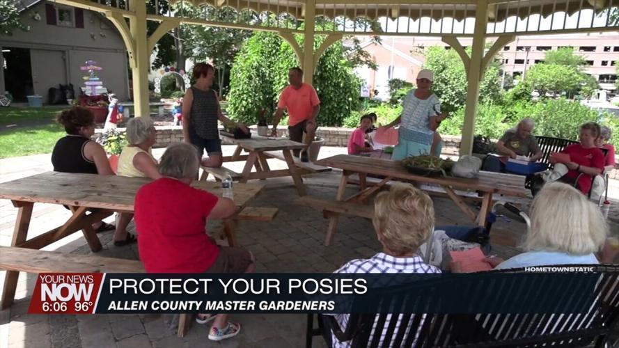 Plants feel the heat during hot humid temperatures