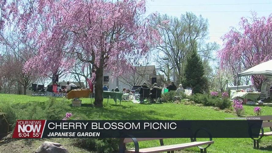 Cherry Blossom Picnic brings public out to the Japanese Garden