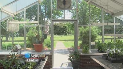 Local gardens showcased in Van Wert