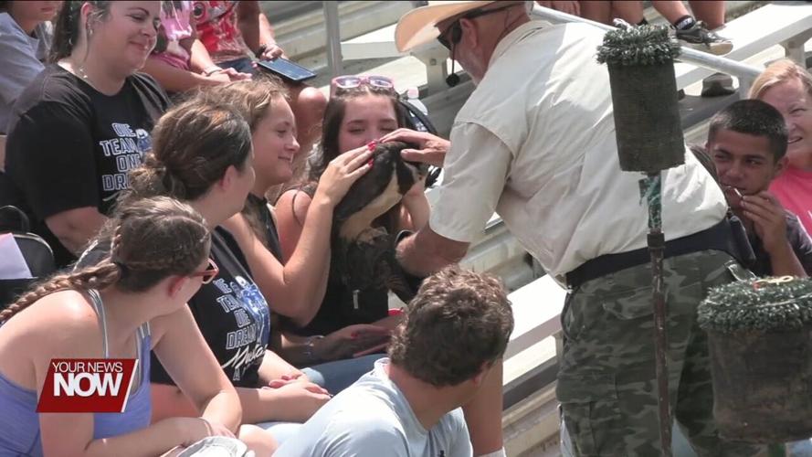 Free show at Allen County Fair lets audience get close to birds of prey