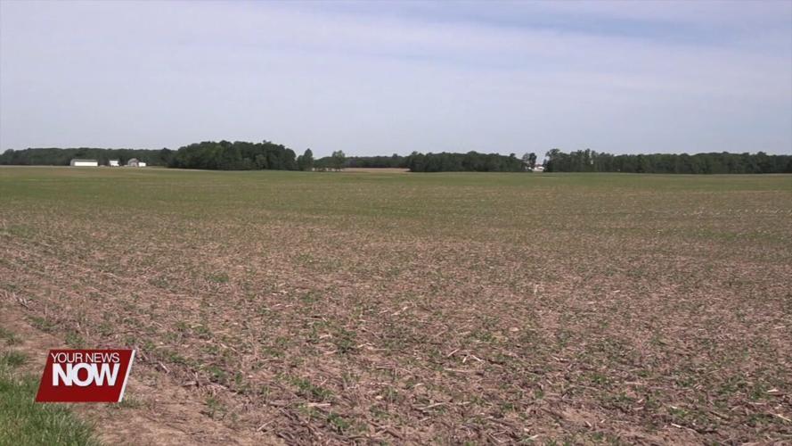 Extended hot spells could impact crops in the weeks ahead