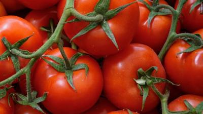 Tomatoes generic