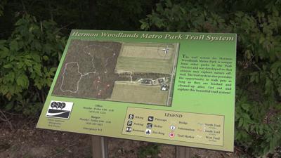 Parkside Pacers bring health and nature together at Hermon Woodlands