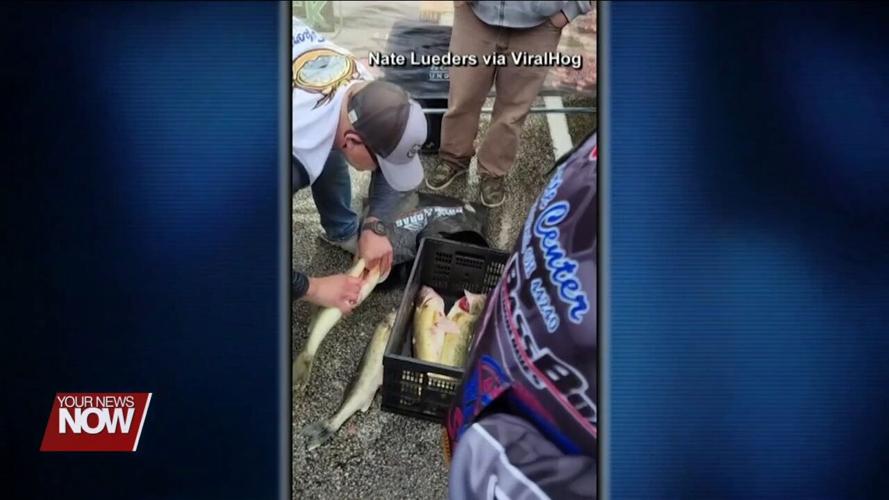 Fishing Boat Seized After Walleye Tournament Scandal Sold in Auction