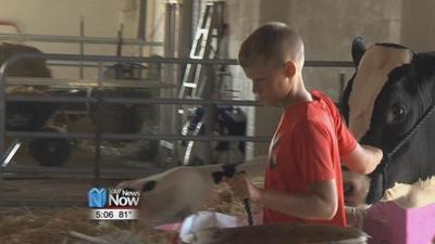 4H Spotlight: The Allen County Fair Dairy Barn