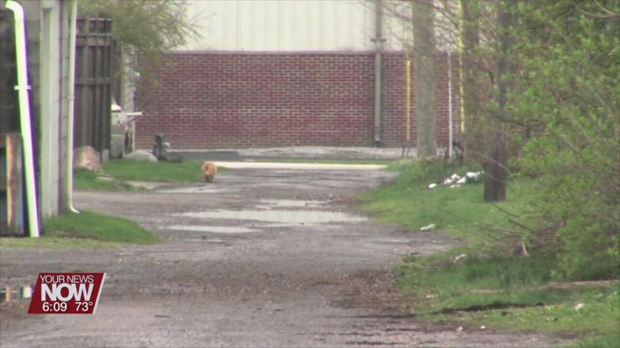 Lima City Crews working on repairing city alleys after winter damage