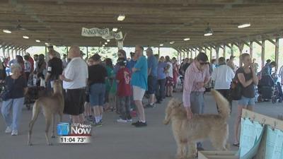 Trainers and dogs show at the Lima Kennel Club