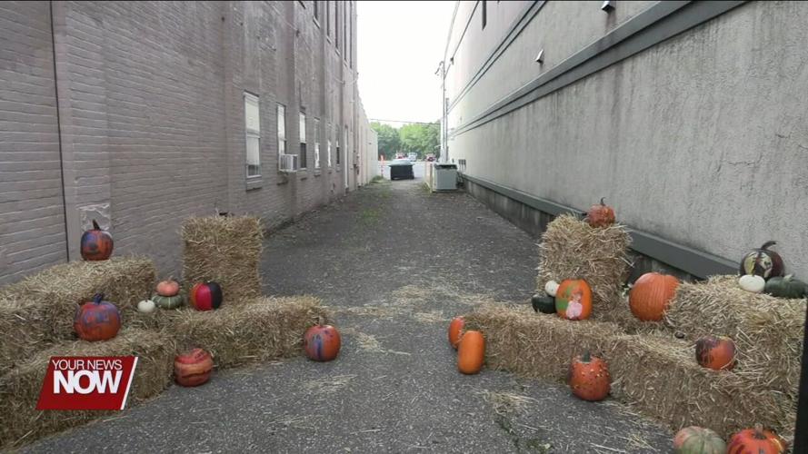 Go Ottawa looking to transform a downtown alley into a social space