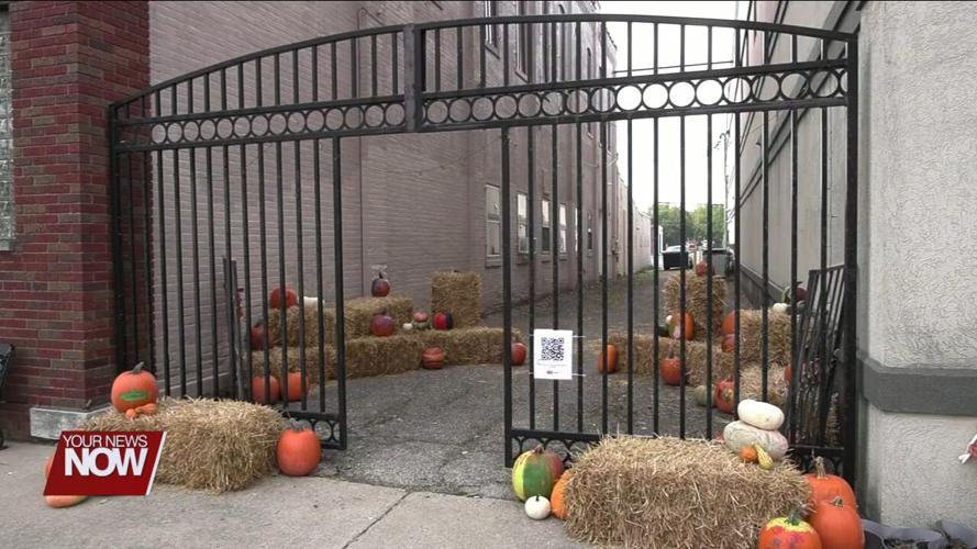 Go Ottawa looking to transform a downtown alley into a social space