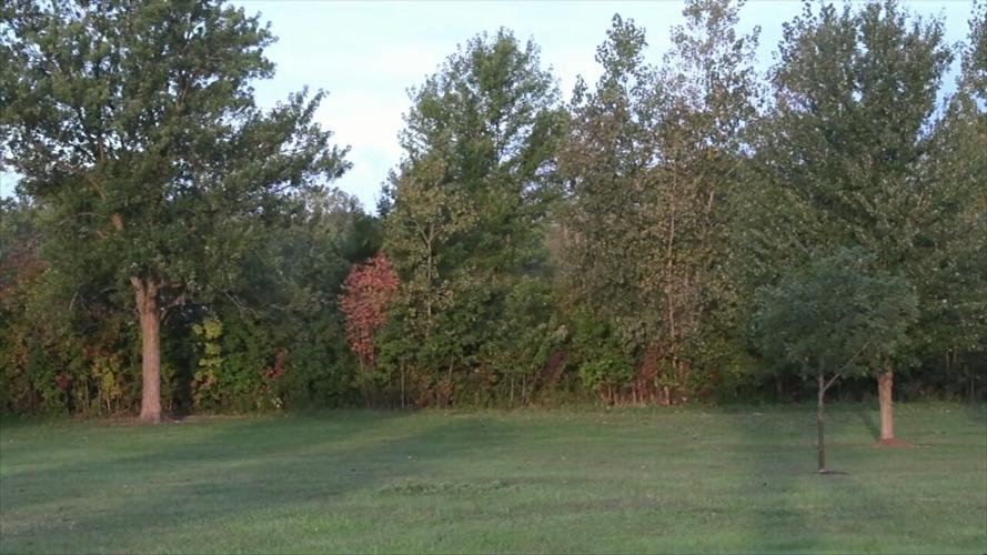 The leaves are starting to change - here's when to expect peak foliage in Ohio