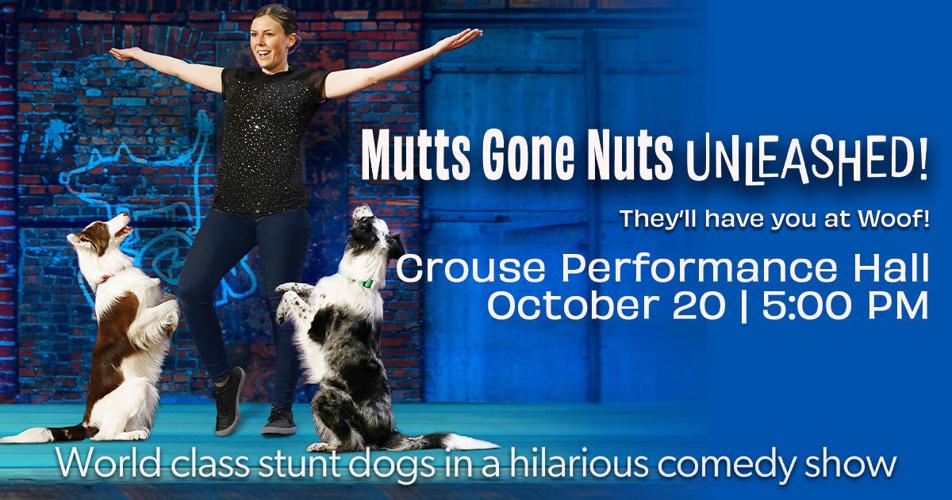 Mutts-Gone-Nuts