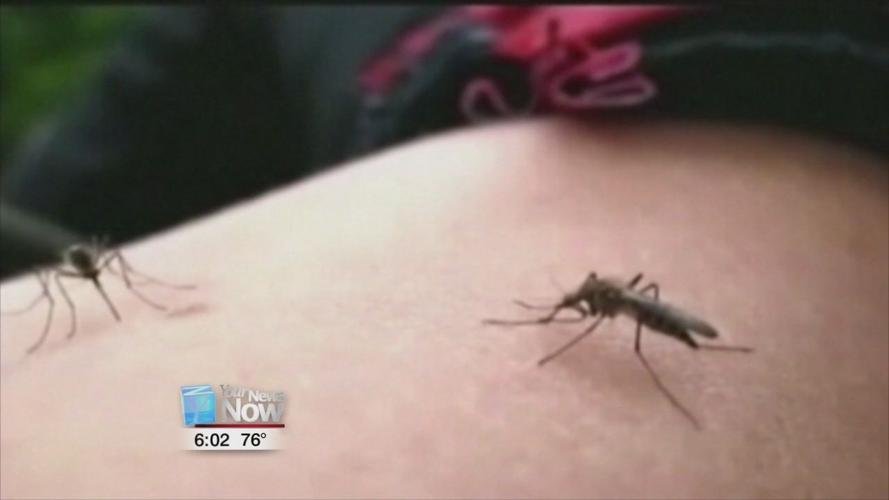 First death of West Nile reported in Ohio for 2019