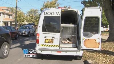 Off duty LPD officer attacked by dogs