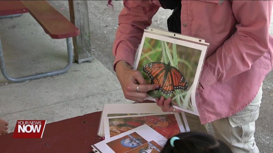 JAMPD's Color Crazy Camp is teaching kids all about colors in nature