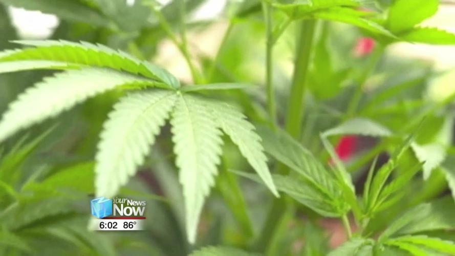 With legalization of hemp, Lima taking conservative approach in enforcement and prosecution 2.jpg