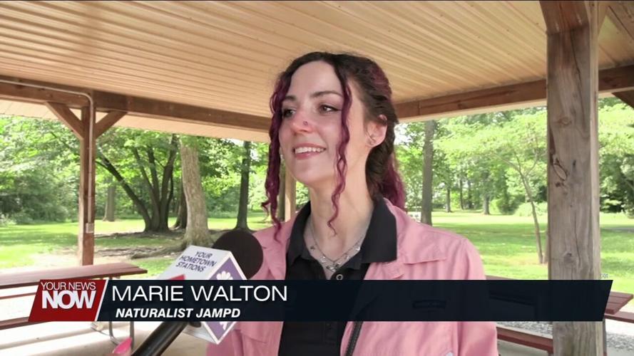 JAMPD's Color Crazy Camp is teaching kids all about colors in nature
