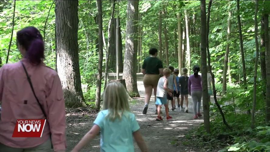 JAMPD's Color Crazy Camp is teaching kids all about colors in nature