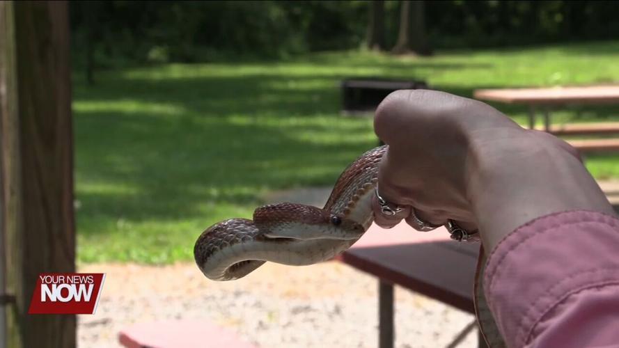 JAMPD's Color Crazy Camp is teaching kids all about colors in nature
