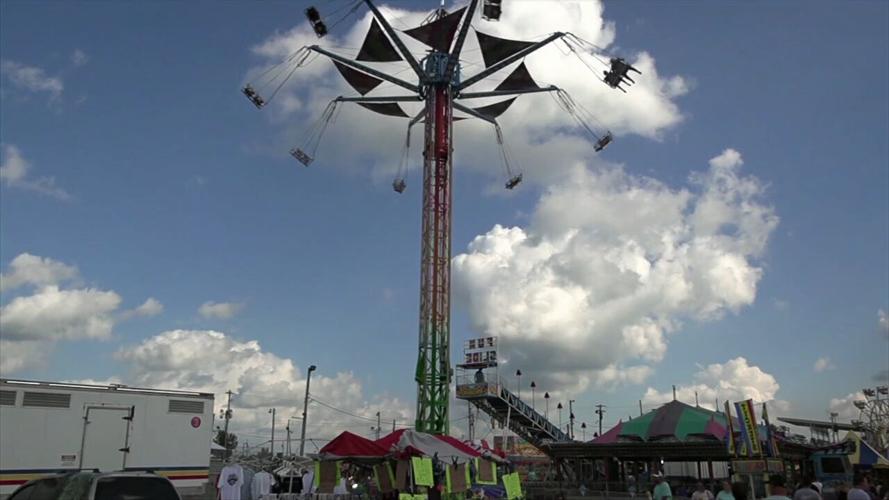 Allen County Fair Hosts Youth Day Activities News