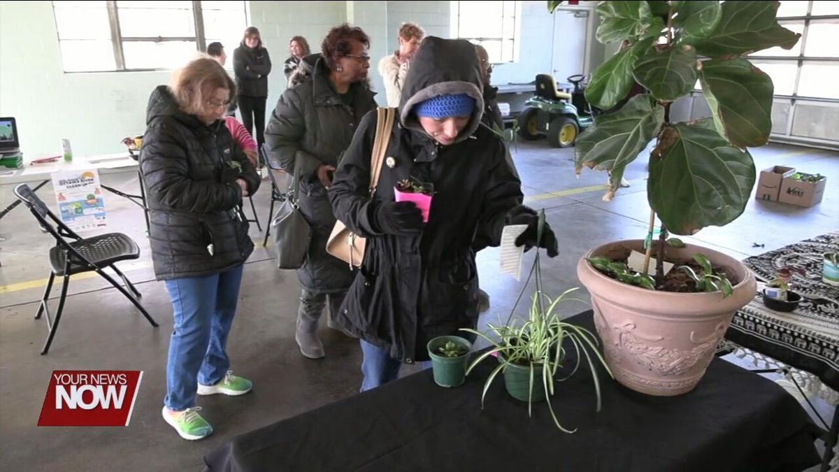 The Green Thumb Plant Shop