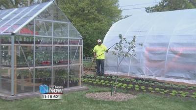 Lima S.P.R.O.U.T.S. begin plant sales
