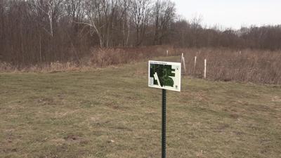 New wetland park offers trails, wildlife viewing in Allen County