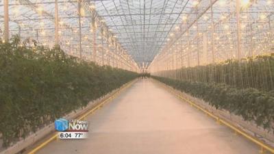 Greenhouse deal may lead to more opportunities for Wapakoneta