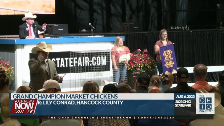 Area youth representing West Central Ohio sell big and break records at Ohio State Fair's Sale of Champions