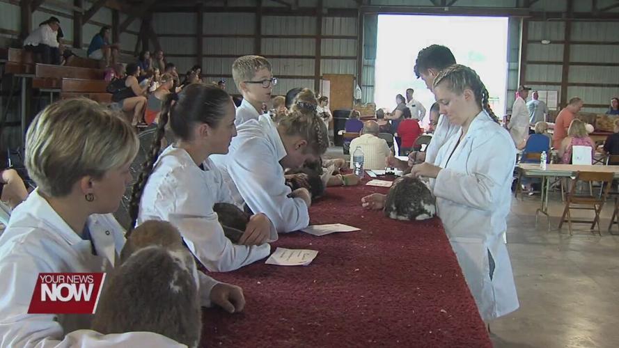 Allen County Fair king talks about last year he can show rabbits