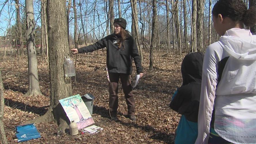 Johnny Appleseed Metropolitan Park District host Maple Syrup Festival