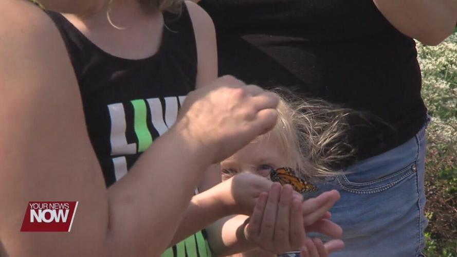 Fun and butterflies at this year's Butterfly Migration Celebration