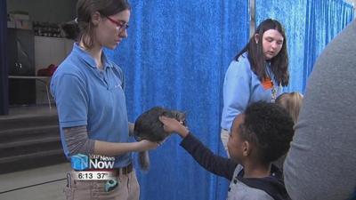Toledo Zoo treks over to Elida Elementary School