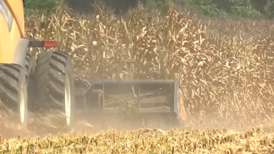 Rising diesel prices strain farmers without boosting their income