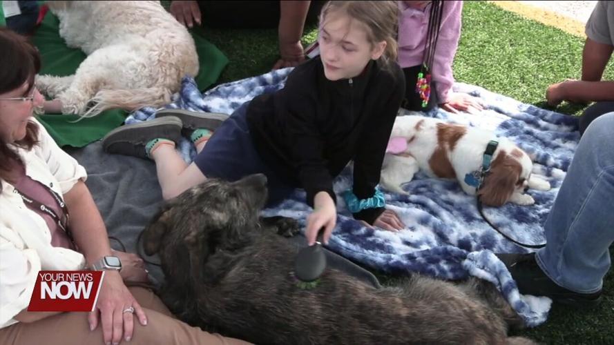 Unity Elementary students raise around $1,700 for this year's Relay for Life