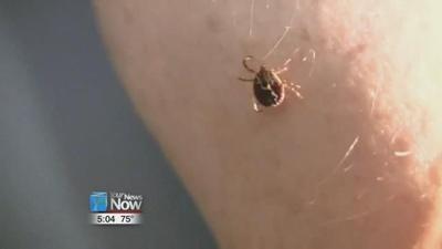 Know how to prevent mosquito and tick bites this season