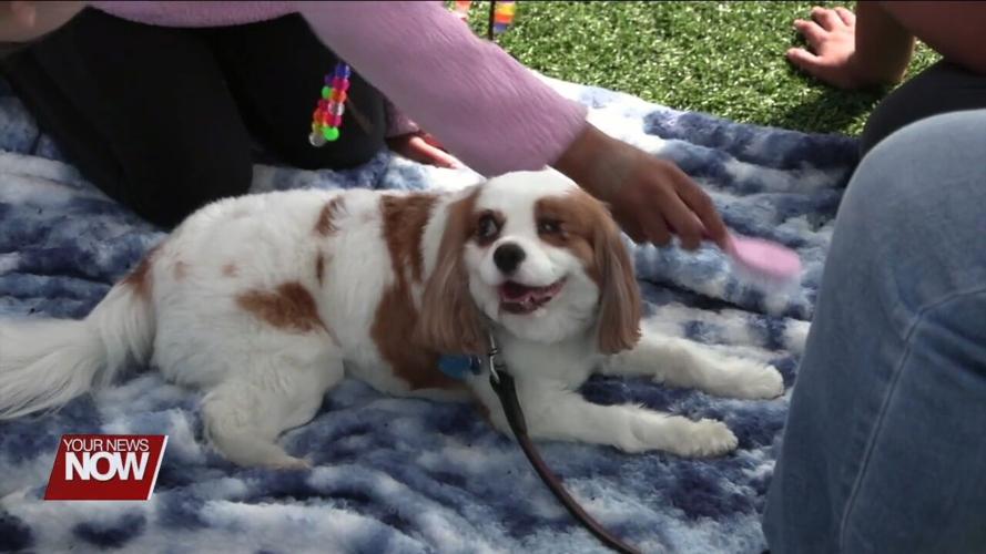 Unity Elementary students raise around $1,700 for this year's Relay for Life
