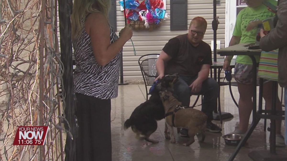 Thrifty Sisters lend helping hand to Auglaize Humane Society News