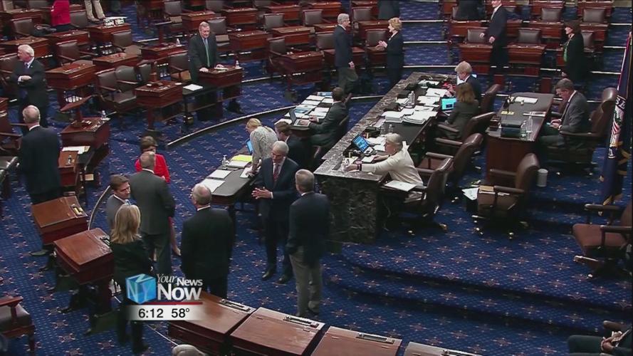 Portman wants to Washington lawmakers to vote remotely instead of in person