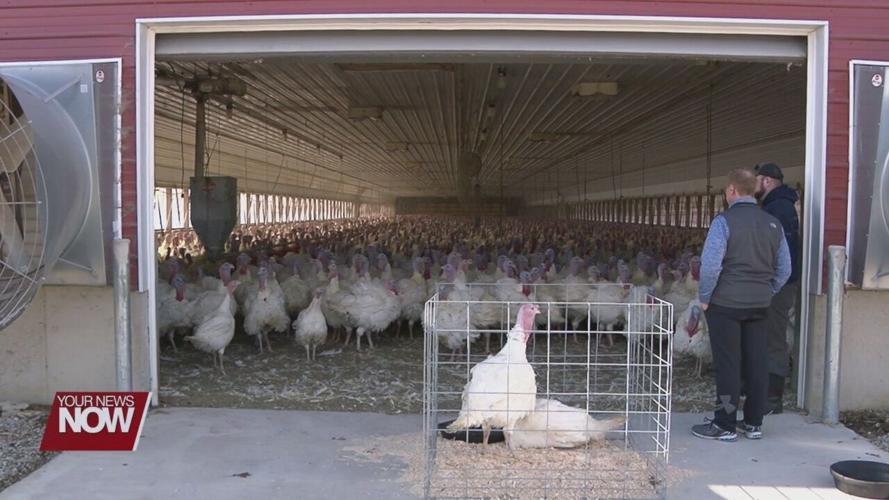 Cooper Farms talking turkey sales and production