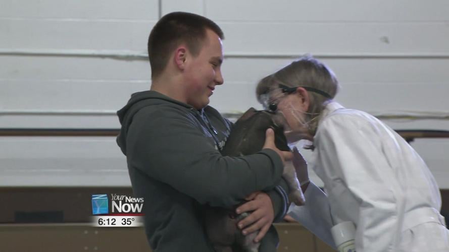 Teachers at Temple Christian Schools kiss a pig for a cause