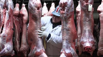 Annual Kewpee Carcass Show highlights Allen Co. Junior Fair livestock quality