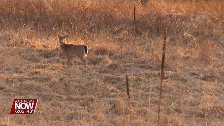 Ohio's Deer Season