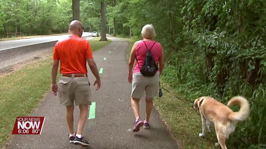 How Dogs can Help with your Mental Health