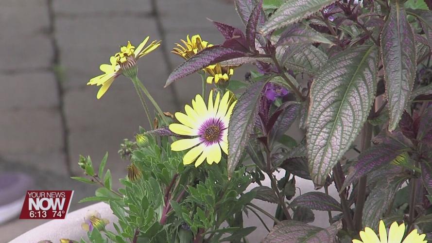 Brown Bag Series returns to the Allen County Children's Garden