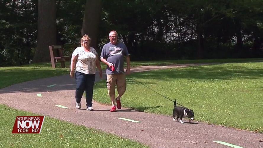 How Dogs can Help with your Mental Health